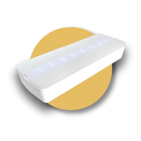 Led Emergency Light